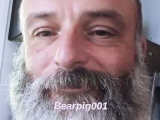 Bearpig001