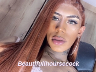 Beautifullhoursecock