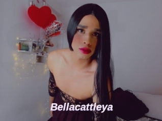 Bellacattleya