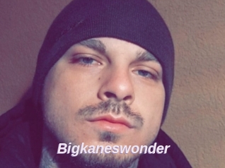 Bigkaneswonder