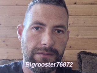 Bigrooster76872