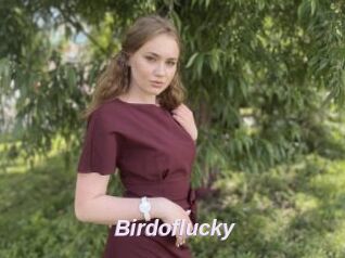Birdoflucky