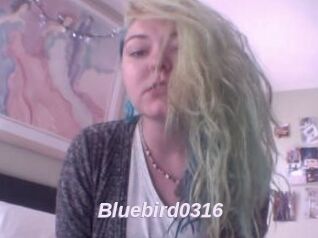 Bluebird0316