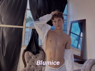 Blumice