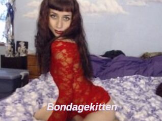 Bondagekitten