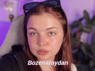 Bozenaraydan