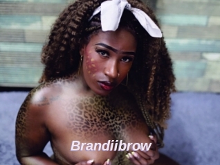 Brandiibrow