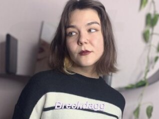 Breckdagg
