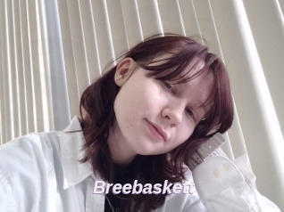 Breebaskett