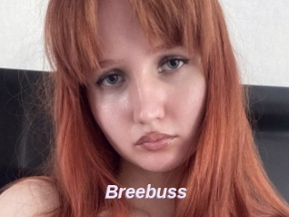 Breebuss
