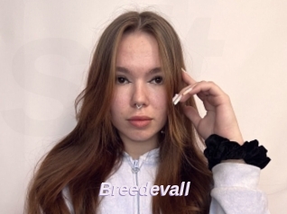 Breedevall