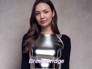 Breeestridge