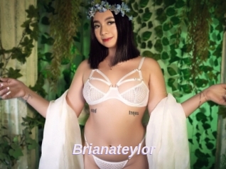 Brianateylor