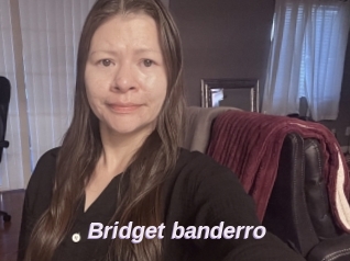 Bridget_banderro