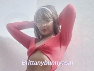Brittanybunnyasm
