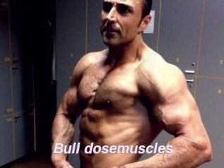 Bull_dosemuscles