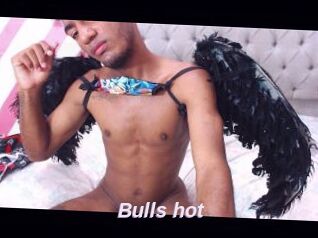 Bulls_hot