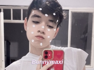 Bunnymaxi