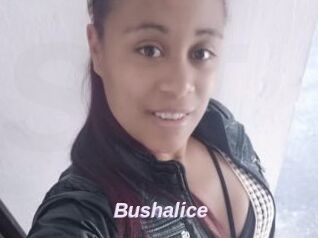 Bushalice