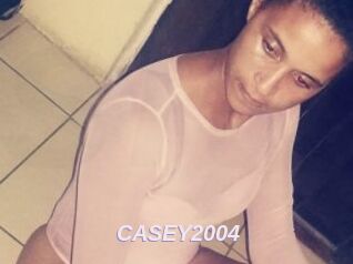 CASEY2004