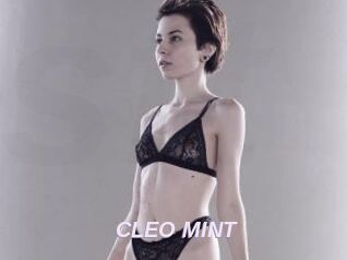 CLEO_MINT
