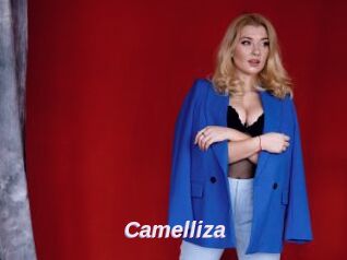 Camelliza
