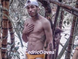 CedricGovea