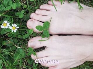 Celouma