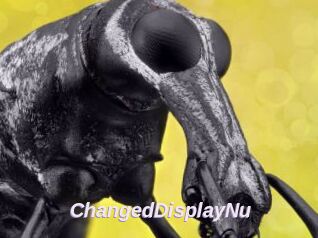 ChangedDisplayNu