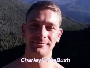 CharleyInTheBush