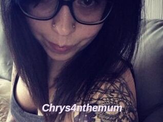 Chrys4nthemum