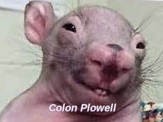 Colon_Plowell