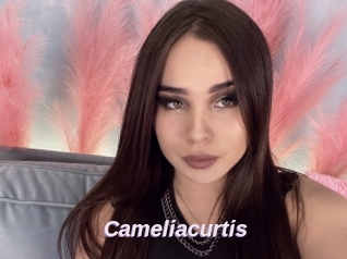 Cameliacurtis