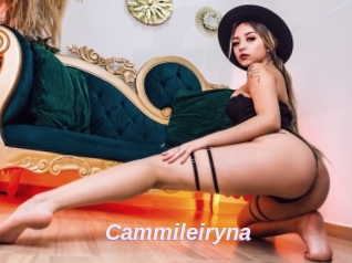 Cammileiryna
