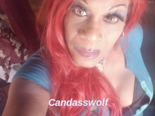 Candasswolf