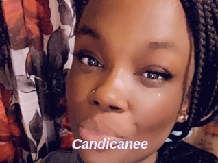 Candicanee