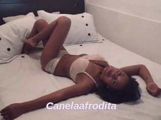 Canelaafrodita