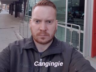 Cangingie