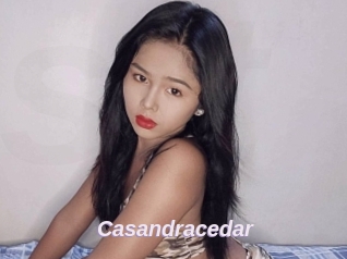 Casandracedar