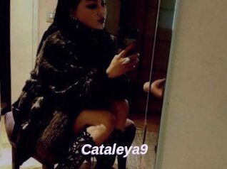 Cataleya9