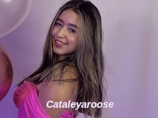 Cataleyaroose
