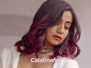 Catalinafox