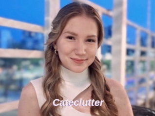 Cateclutter