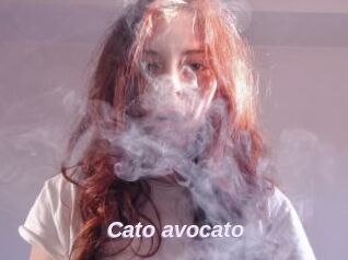Cato_avocato