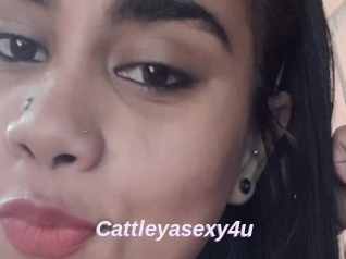 Cattleyasexy4u