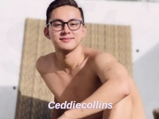 Ceddiecollins