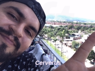Cerverus