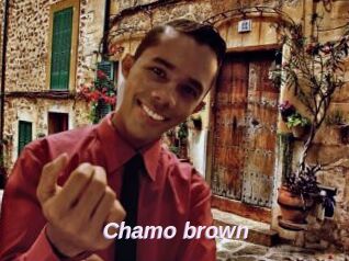 Chamo_brown
