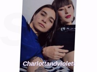 Charlottandviolett