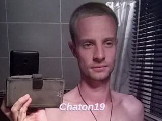 Chaton19